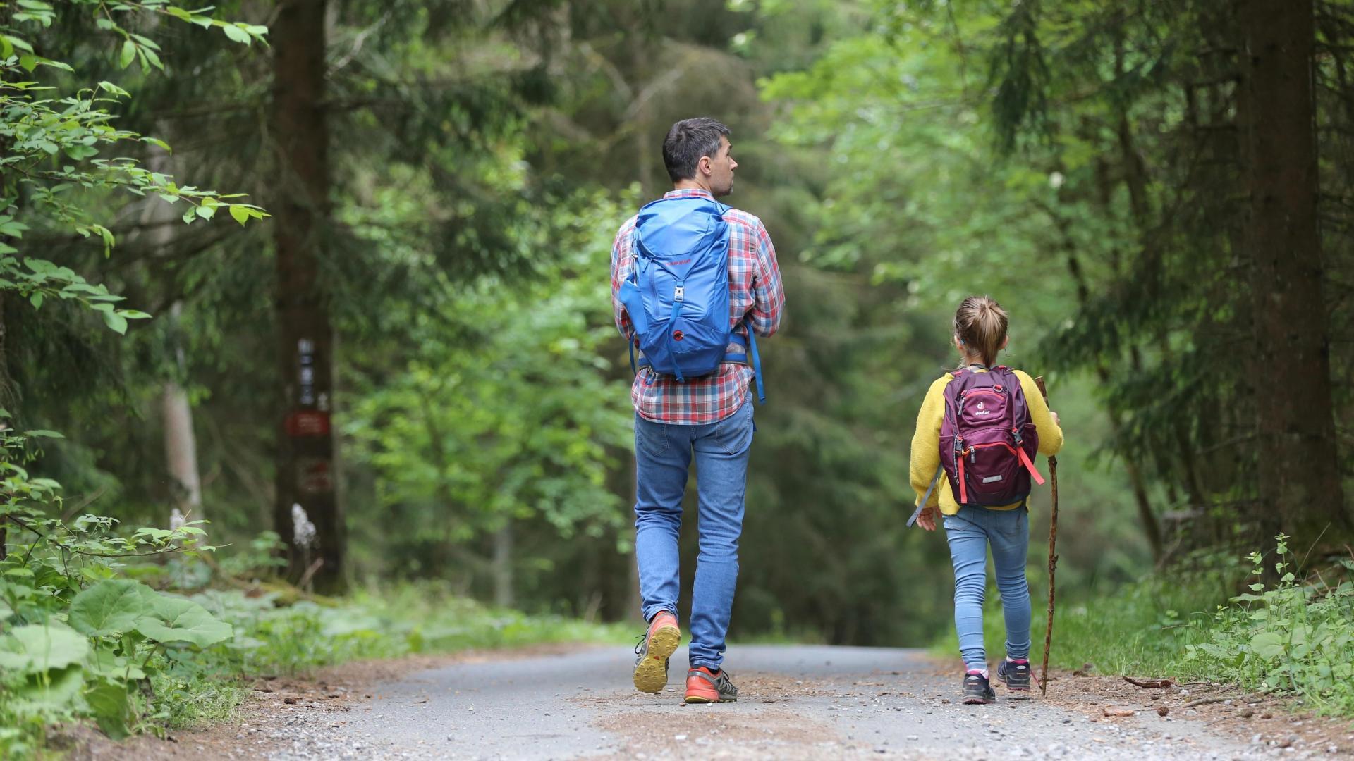 Father and child hiking on a forest path, wearing backpacks.