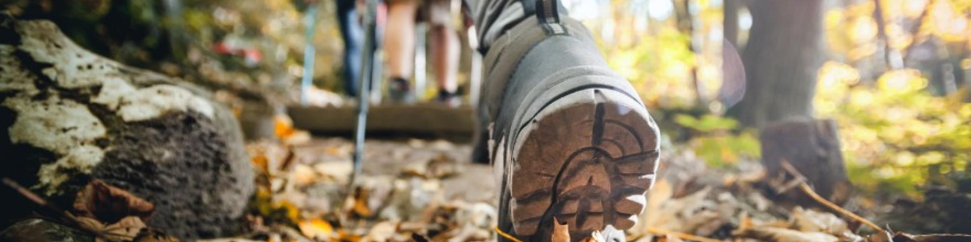 Close up of a persons shoes while hiking with leaves on the ground