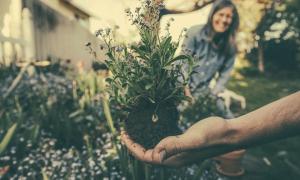 A person holding a plant